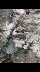 Asbestos worry
