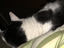 To be really creeped out by my cat?