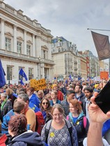 Westminstenders: Pragmatism versus Purity