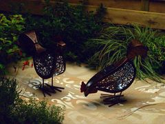 AIBU to ask if your Halloween ravens are going grey?