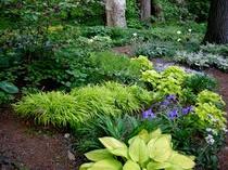 What would you do with this patch of garden?