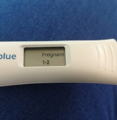 Am I pregnant?