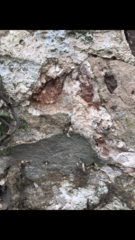 Asbestos worry