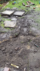 My garden is a mess