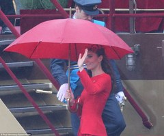 Alternative to Kate Middleton's (wood handle) umbrellas?