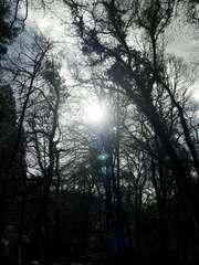 Any Witches Here? Part 7.