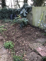 What would you do with this patch of garden?