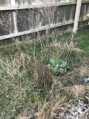 What is this?