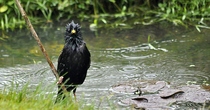I couldn’t believe my eyes today - beauty in nature
