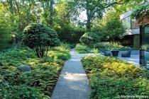 What would you do with this patch of garden?