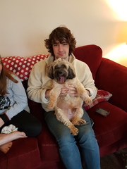 Who fancies a dog photo thread!
