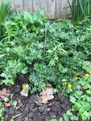 Anyone know what this is?