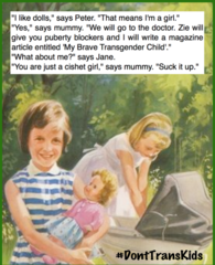 Share your favourite Gender Critical memes here!