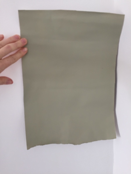 Dulux Overtly Olive?