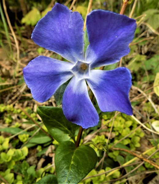 Any Witches Here? Part 7.