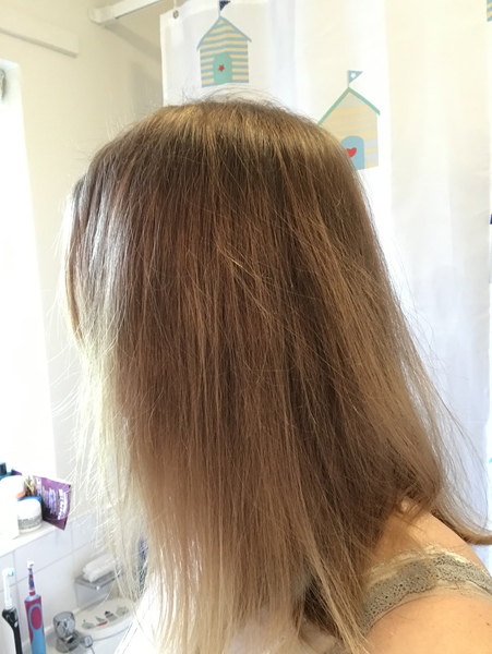 Yesterday’s post (update with pics)