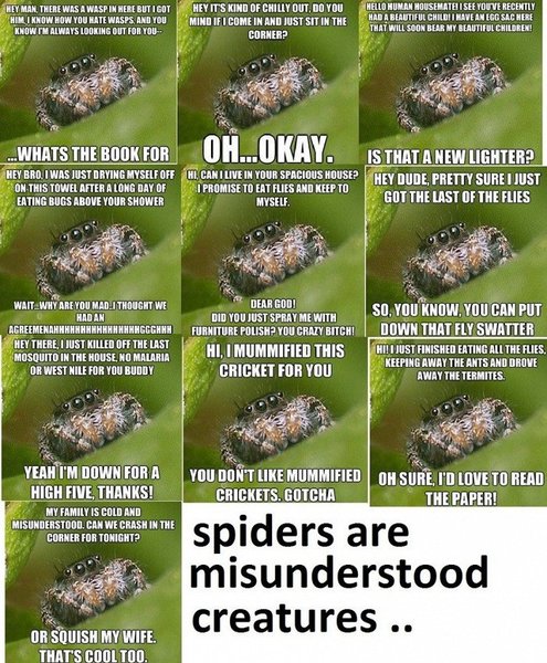 There's was a spider on me!!! A huge spider!!