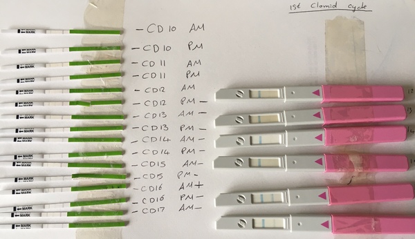 Clomid thread 2019