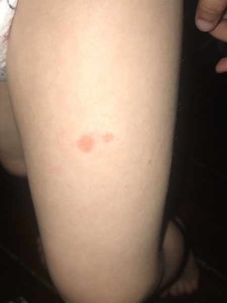 What is this? Need opinions!
