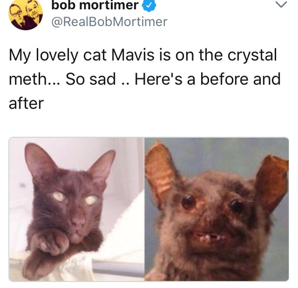 Please share your funny memes or pictures.