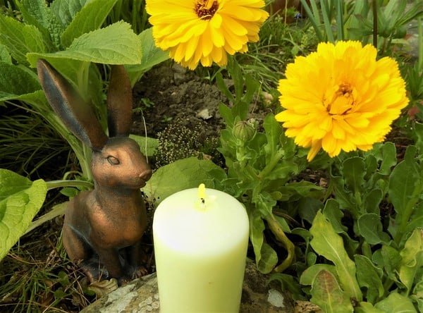 Any Witches Here? Part 8.