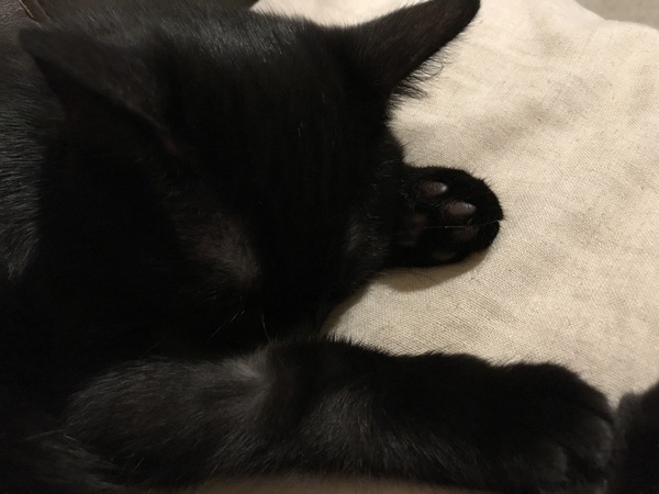 Toe beans
