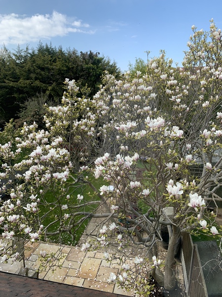 Austere April continues with the Friendly Frugaleers! Join us as we discuss our direct debits, prattle about penny pinching and possibly babble about Brexit...