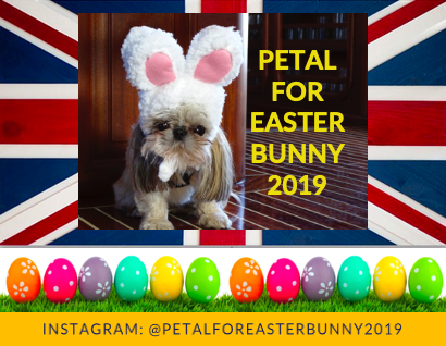 New Easter Bunny 2019