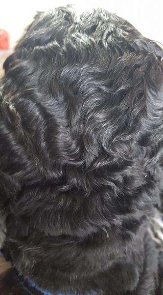 Before and after grooming ( cute photo thread )