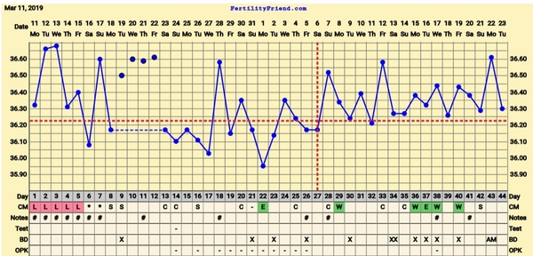 Trying to conceive first child with PCO/PCOS or irregular long cycles