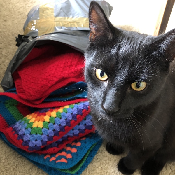 A warm woolly welcome to C2019! Chernobs ahoy!