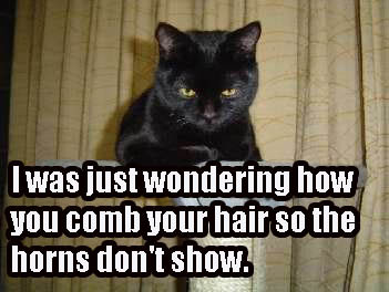 To despise of my husbands cat and wish it wouldn’t come back home