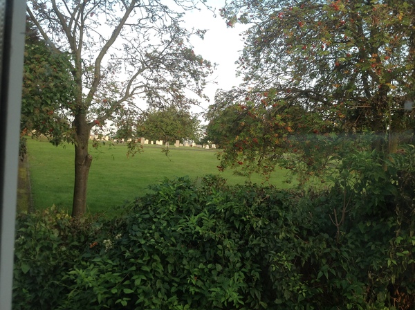 Sun is out, neighbours are out. Who else has annoying neighbours..