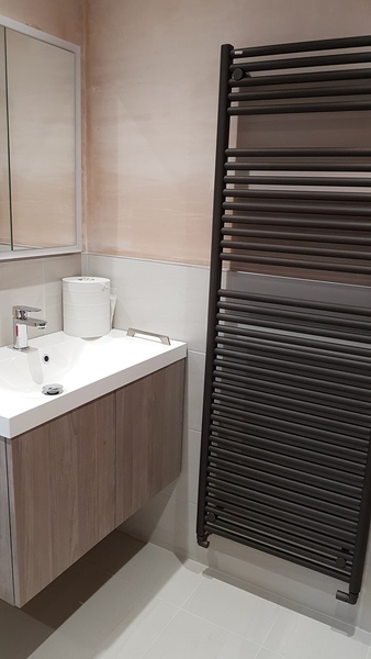 AIBU to dislike this in a new bathroom?