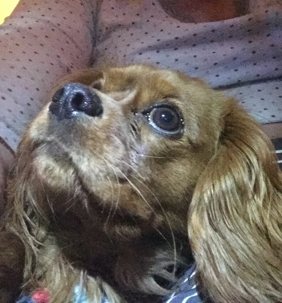 AIBU to post a happy picture