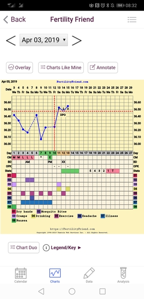 The July 19ers - The rollercoaster continues, scream if you wanna go faster