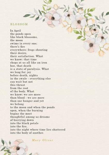 Any Witches Here? Part 7.