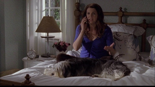 Loralei Gilmore’s bedroom wallpaper!