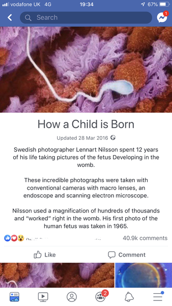 This is FASCINATING!