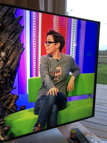 Help me find Sue Perkins dinosaur top!