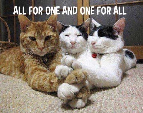 Westminstenders: 1001 Ways to wait for EUCO - Sprouts, Nits and Brexit