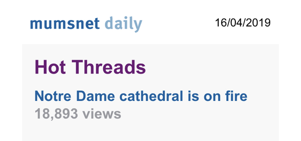 Notre Dame cathedral is on fire!