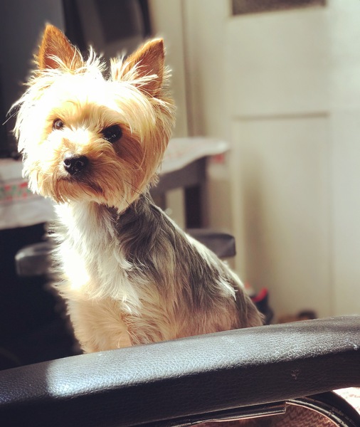 AIBU to post a happy picture