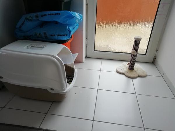 Would aromatic scents/essential oils keep cats away from rugs/furniture?