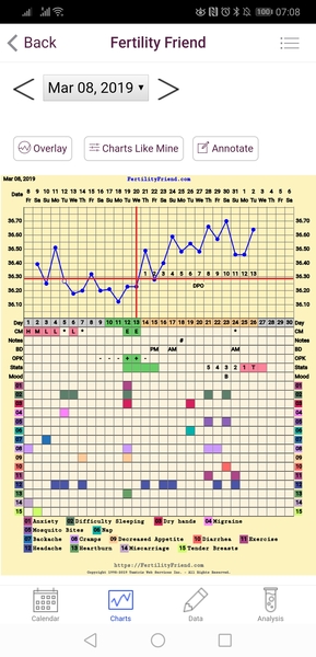 The July 19ers - The rollercoaster continues, scream if you wanna go faster