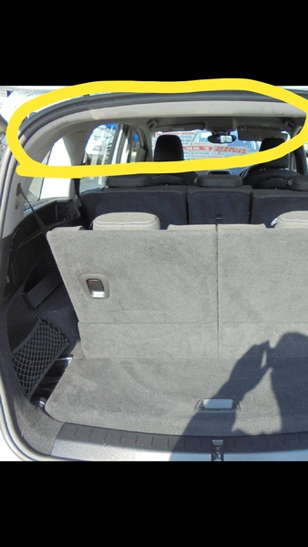 Can somebody tell if a dog has been present in this vehicle
