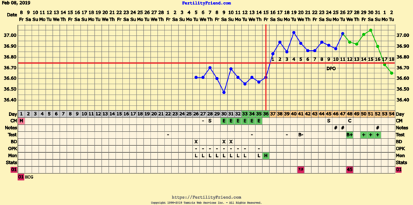 First Pregnancy Missed Miscarriage