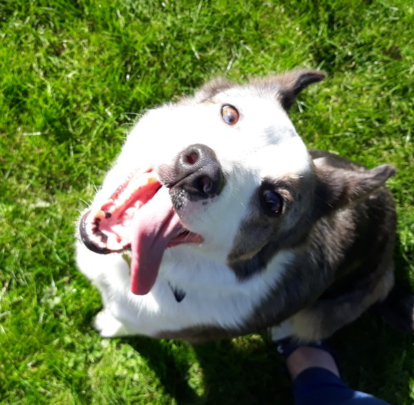 AIBU to post a happy picture