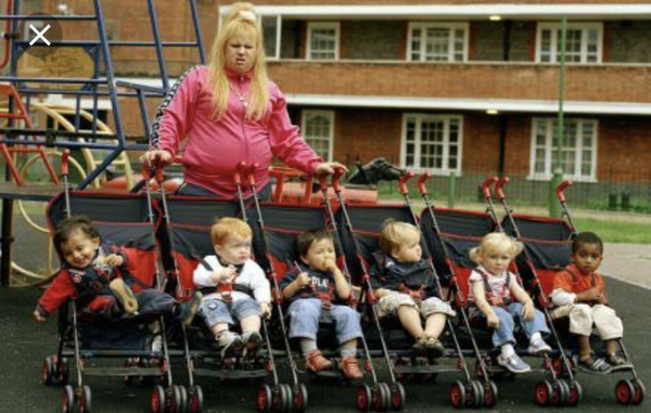 AIBU to be worried about social housing?