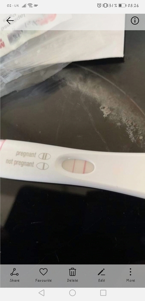 December 2019 Babies